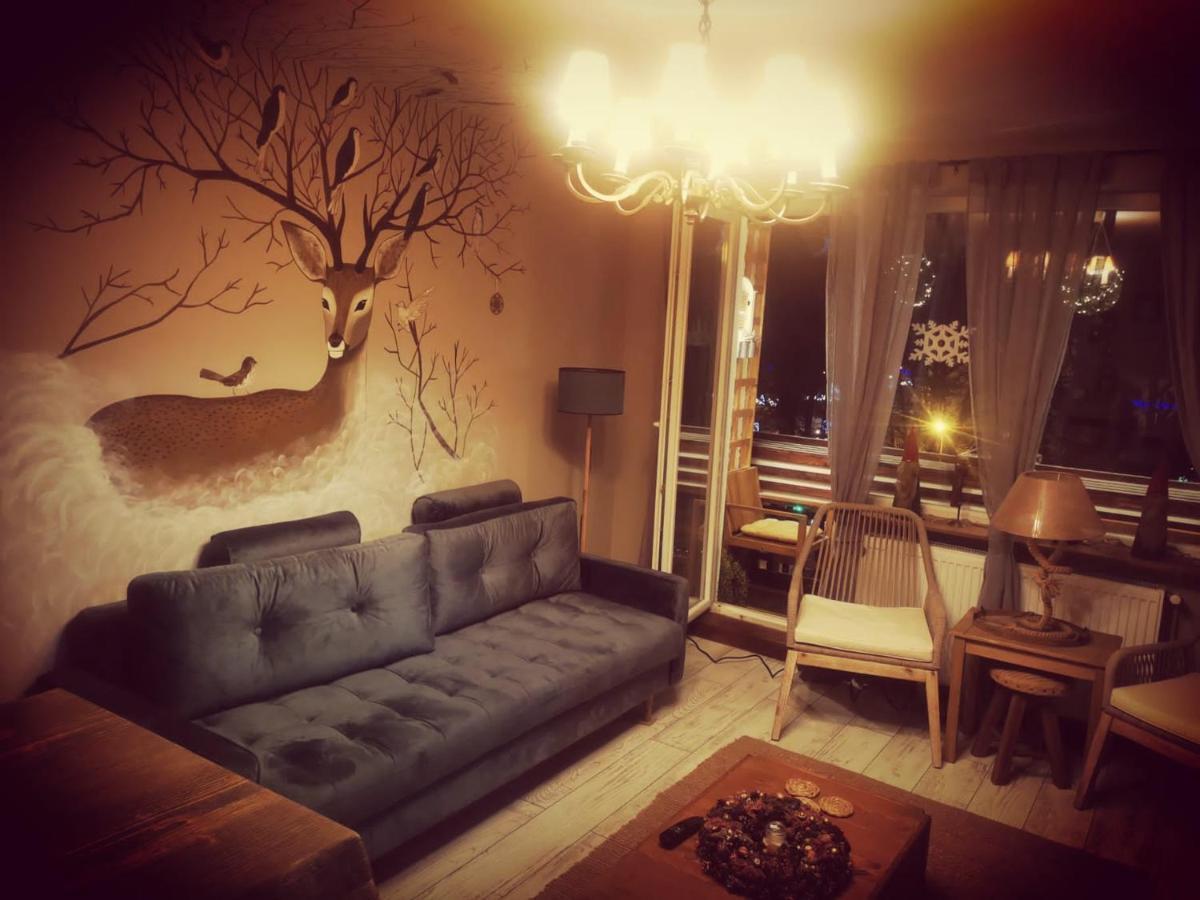Exquisite 3 Room Apartment In The Heart Of Thetown Câmpulung Moldovenesc Exterior photo